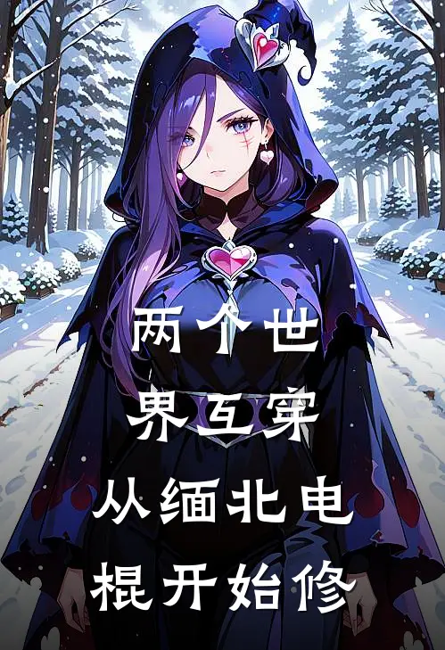 两个世界互穿：从缅北电棍开始修