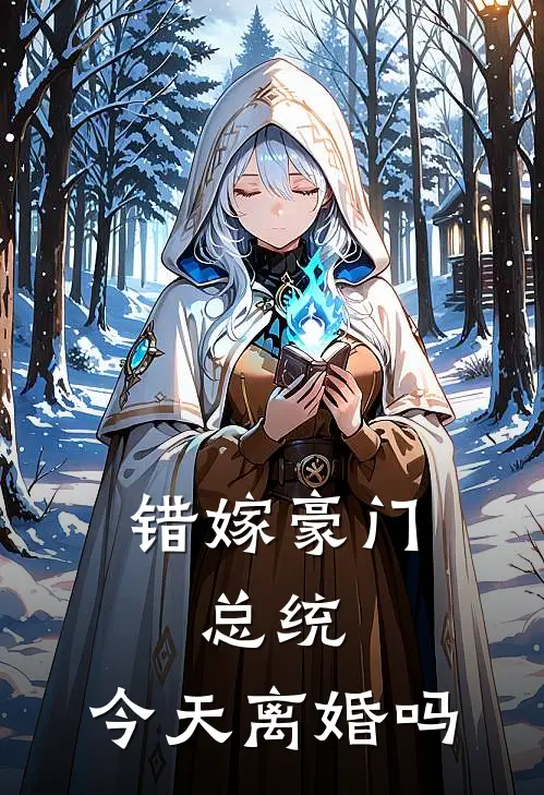 错嫁豪门：总统，今天离婚吗